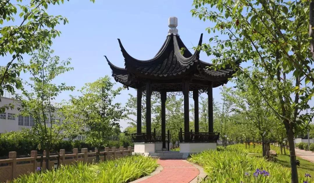 苏州大学文正学院专转本2020,苏州大学文正学院专转本人力资源