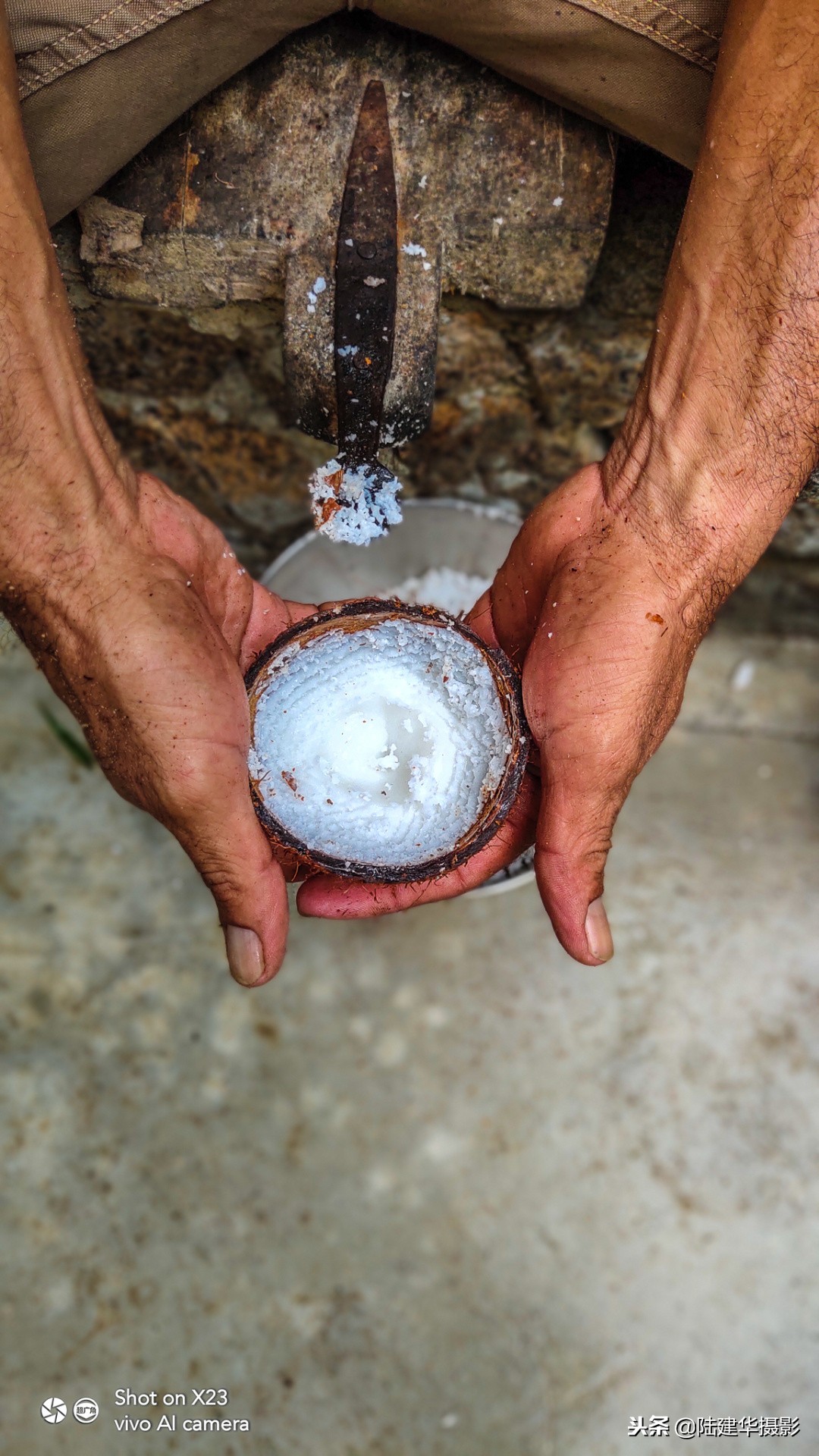 塞舌尔最值得去的岛屿,塞舌尔伊甸园在哪里