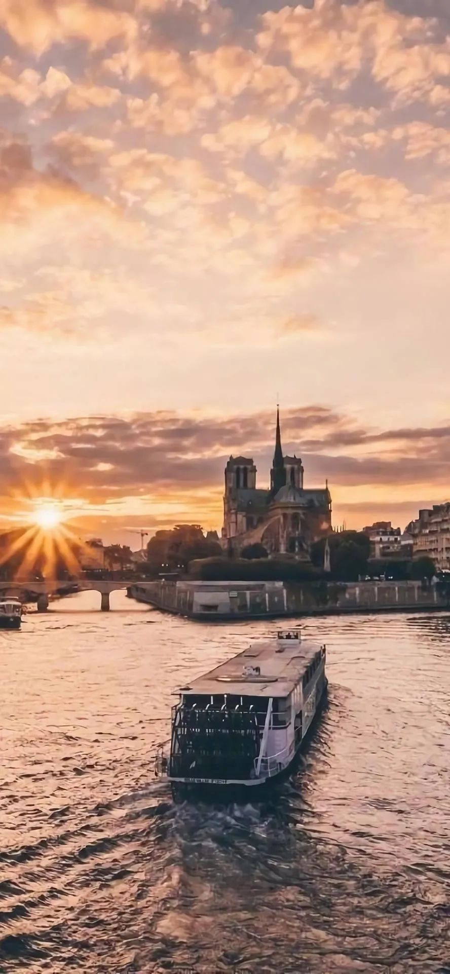 壁纸不要寄希望于别人多看自己,壁纸接受事与愿违