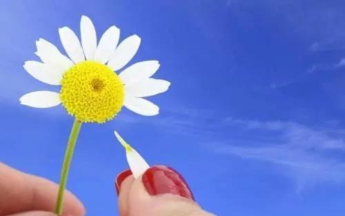 欧亚净月南临河街 (南临河街净月)