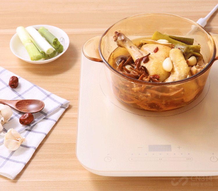 涮火锅用电火锅好还是用电磁炉好,电陶炉与电磁炉哪个更适合涮火锅