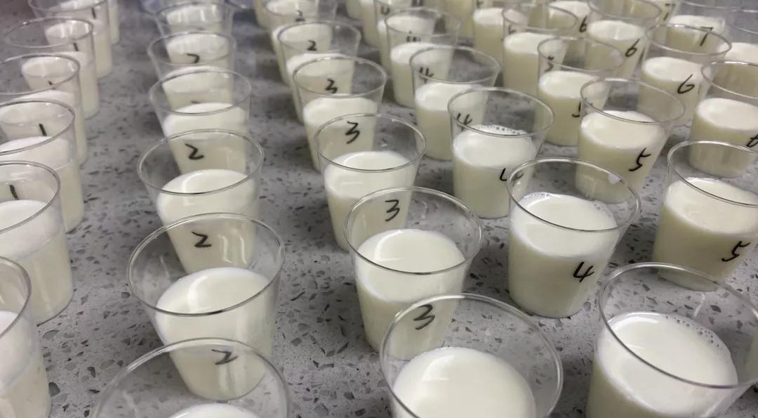 最有良心的三款新国标奶粉,口碑最好的十款奶粉都是什么