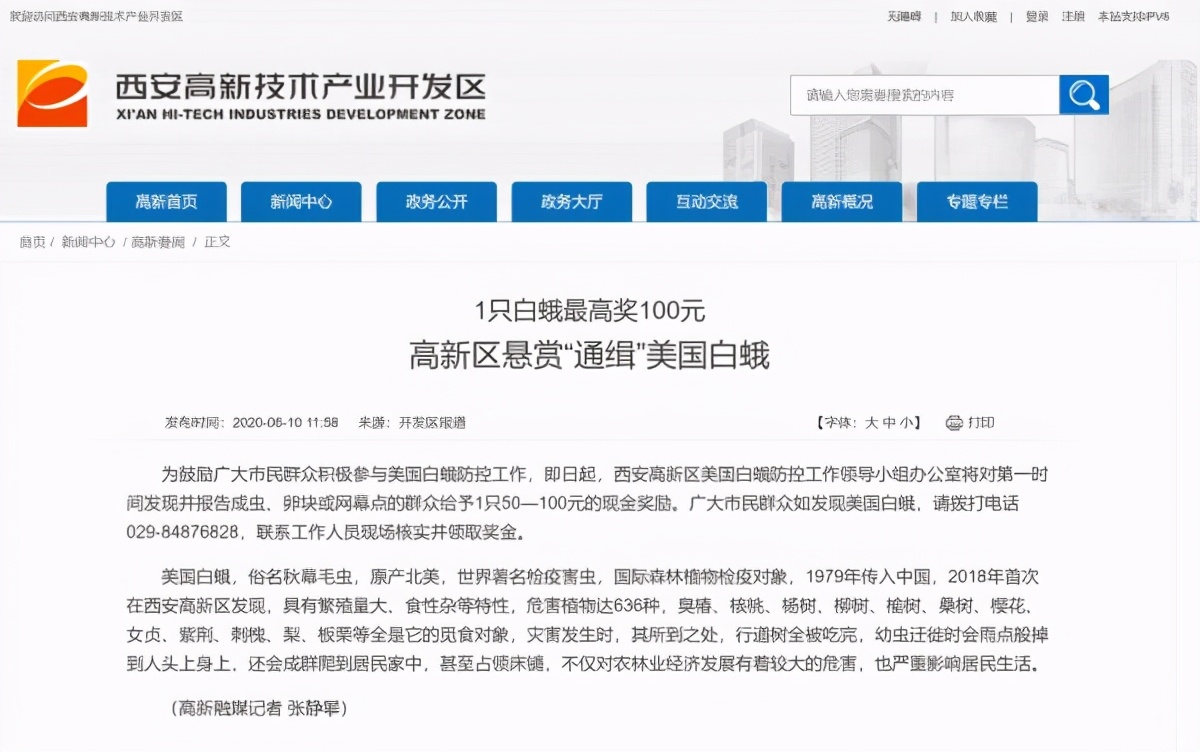 提醒！西安多地被列入“美国白蛾疫区”，官方曾高价通缉！