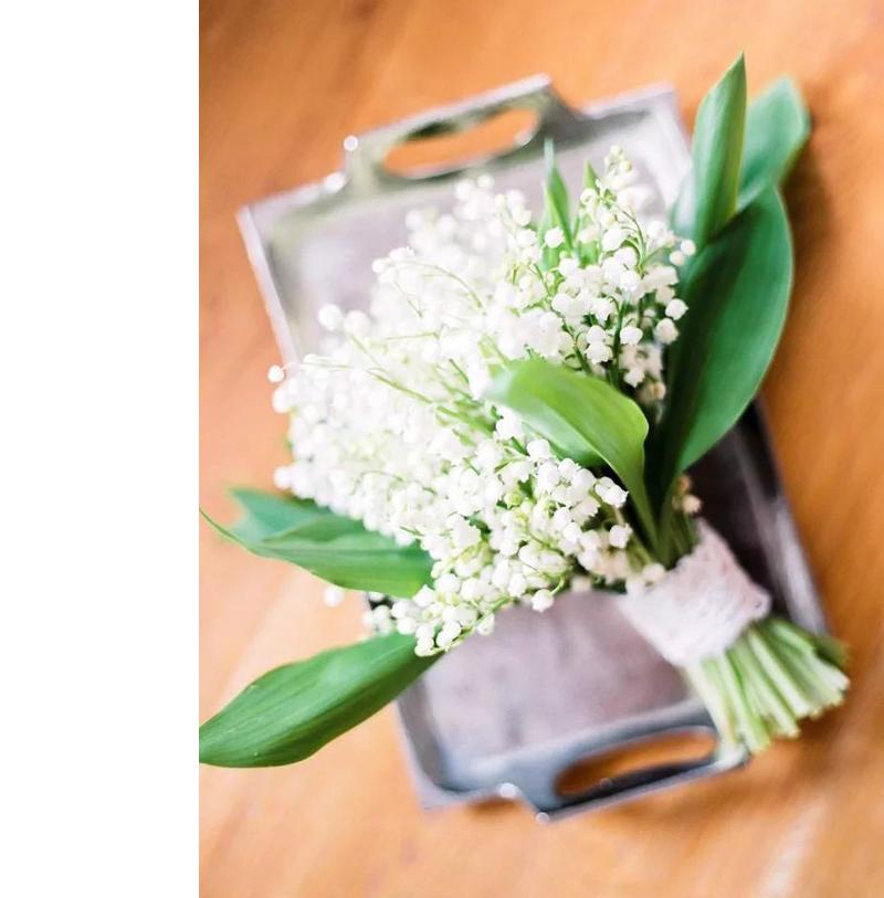 花休眠期怎么养护,铃兰花苗怎么养护和管理