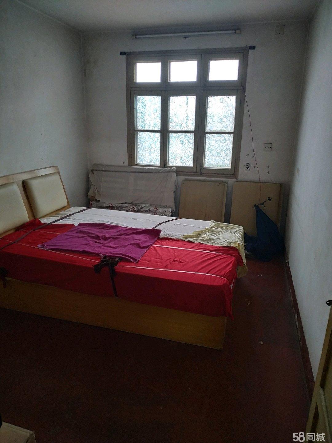 在那里他们学会了盖房子爱爱爱啊啊