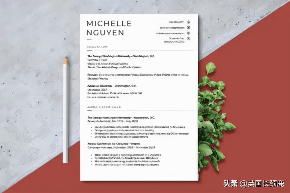 coverletter求职信模板,coveringletter求职信