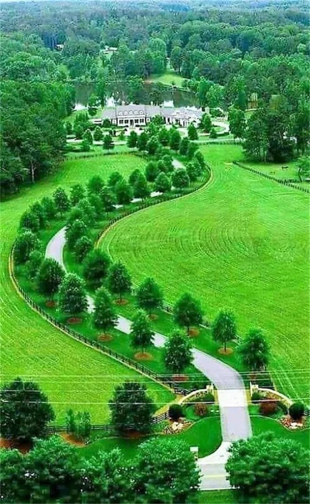 缓解眼睛疲劳动态图壁纸,好看的手机壁纸护眼高清图文