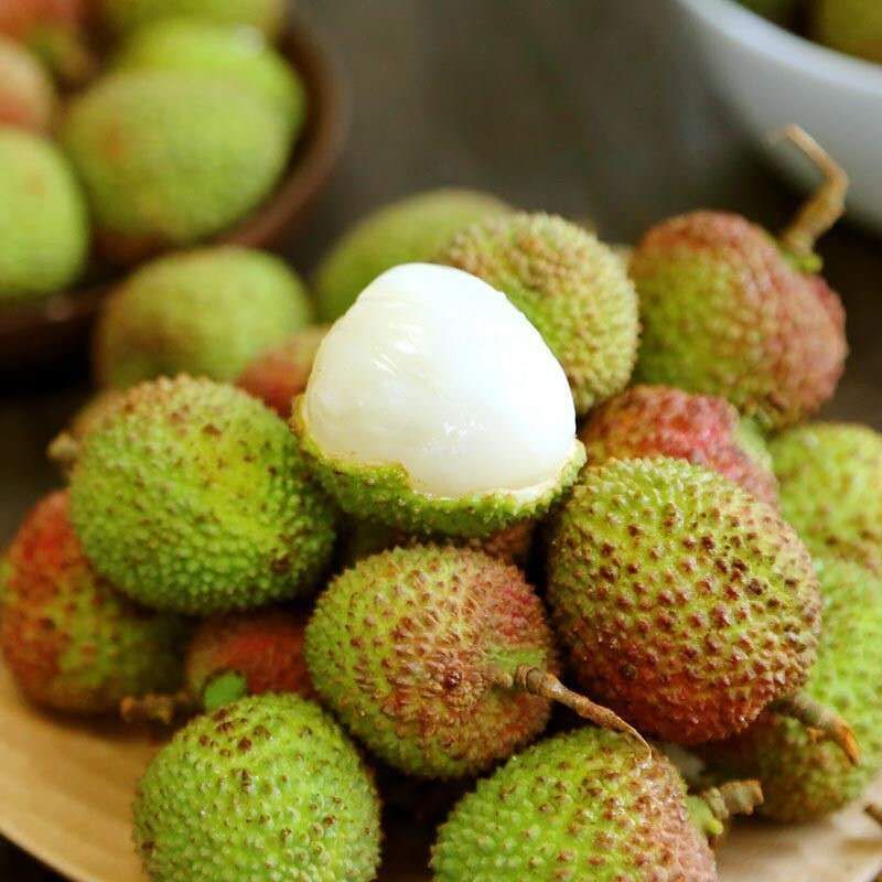 荔枝成熟地方排名,荔枝目前最好的品种