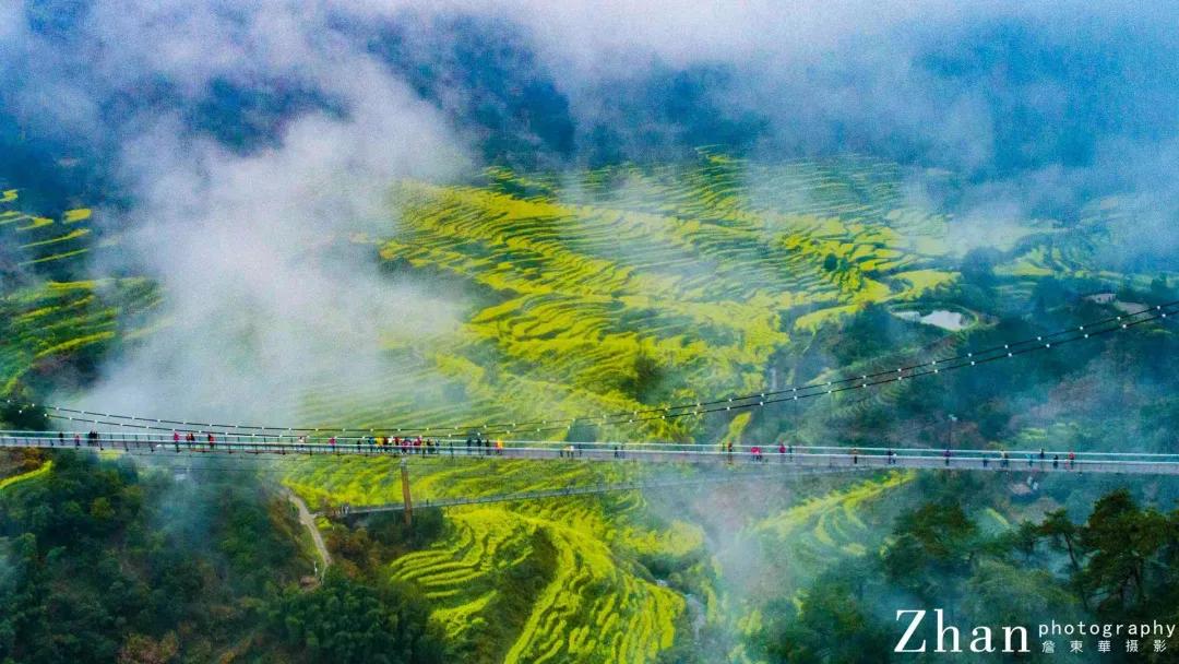鑺辨湞鑺傝姳浠欏瓙,鑺辨湞鑺傝姳浠欏瓙宸℃父
