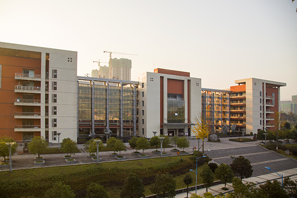 四川排名前十高专,四川省医专院校有哪些