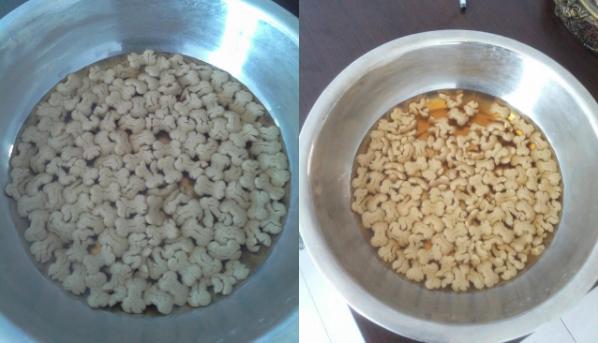 狗粮消化的正确方式,你们买的哪种狗粮实惠又有营养