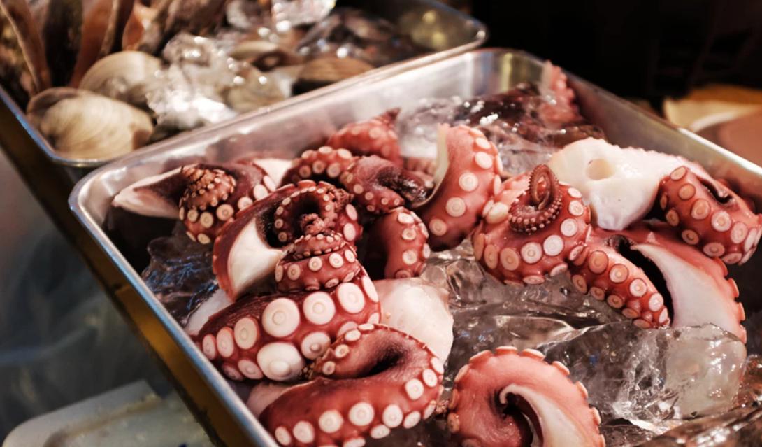 出国去哪儿玩便宜又好玩,国外旅游吃海鲜最便宜旅游胜地