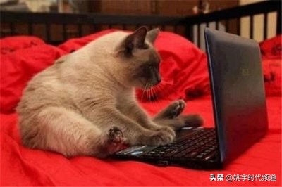 骨折做完手术注意哪些事项,骨折以后做手术以后需要注意什么