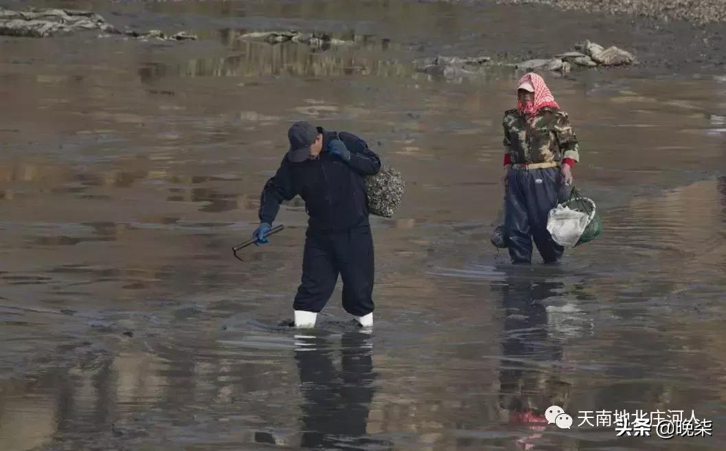 大连庄河赶海排名第一名,庄河赶海网红视频