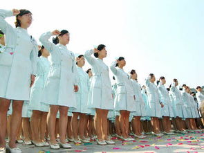 閲嶅簡鐭ヨ鍜屽崡涓佸崼鏍″摢涓ソ,閲嶅簡鍏姙鐭ヨ鍗牎