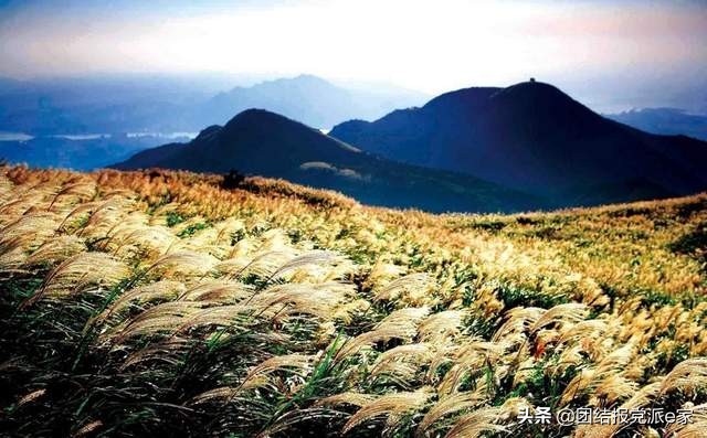 两岸交流基地在哪里,两岸观光交流地