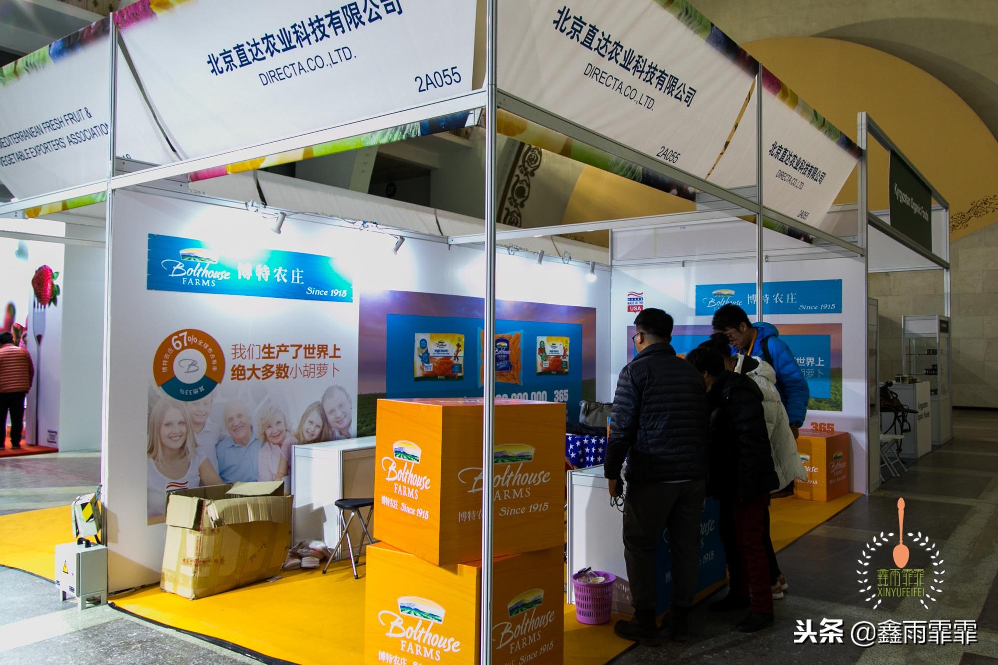 5万斤胡萝卜卖不出去,一斤胡萝卜能卖多少钱