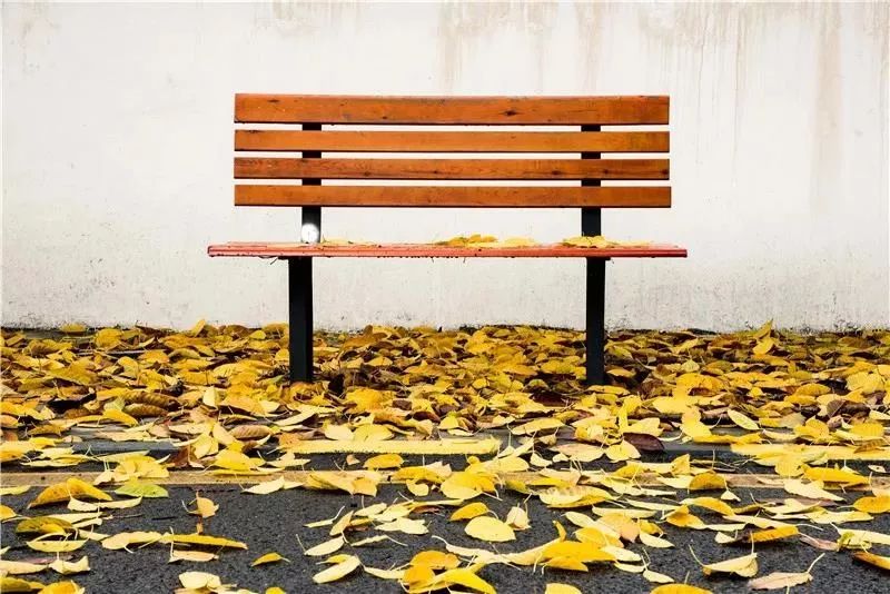 广东省的优秀高校,广东省优秀院校