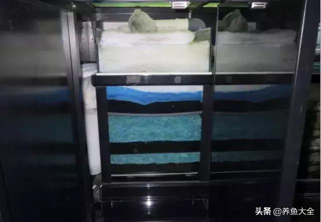 杩囨护绁炲櫒濂界墿鎺ㄨ崘,楸肩几杩囨护骞茶揣璁茶В