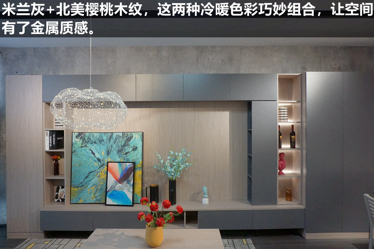 莱茵艾格定制家具测评,莱茵艾格定制衣柜效果图