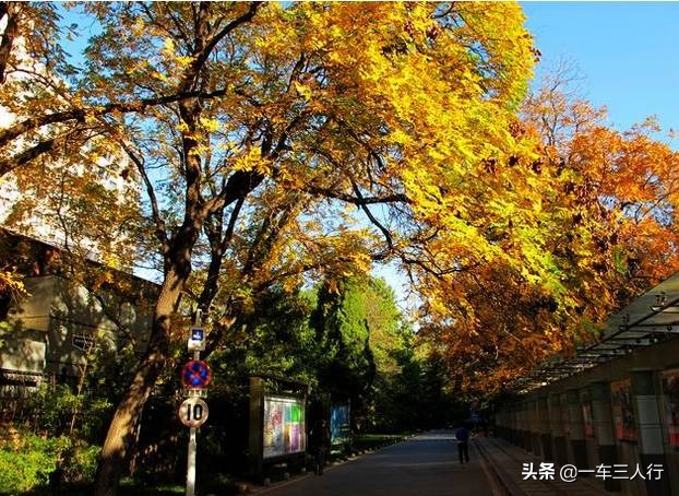 大连有一个蓝色的小城堡景点,大连秋季旅游景点攻略大全