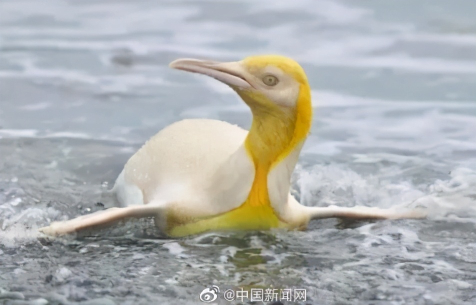 立即停售8批次药,立即停售是真的吗