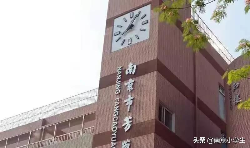 超厉害！芳草园小学这群娃摘得全国双料冠军