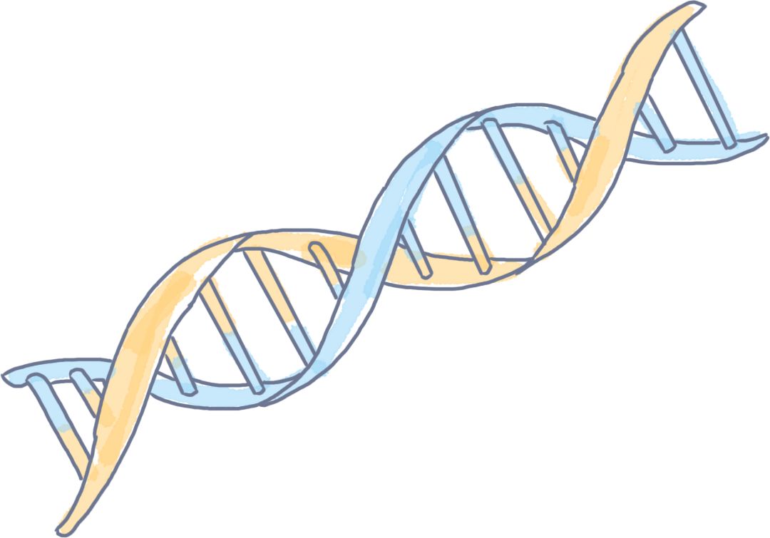 舍友狐臭大怎么办,舍友有狐臭受不了该怎么办