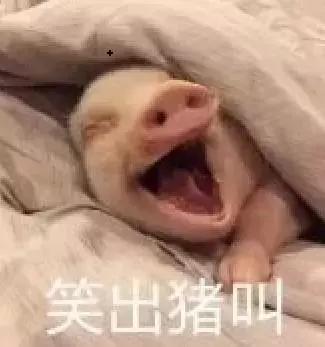 999口红礼盒套装,999口红香水