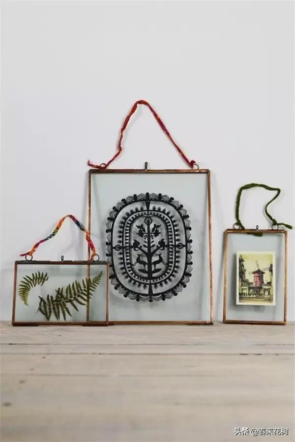 植物标本如何做简单又好看,植物能做什么手工