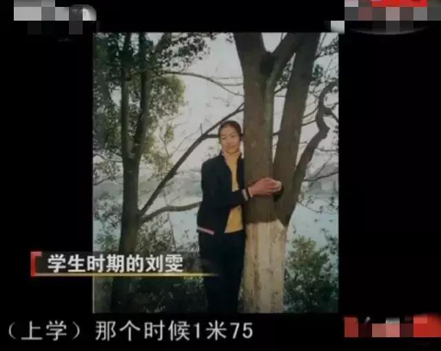 刘雯个人资料简介及男友,刘雯没谈过恋爱吗