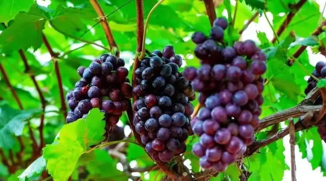 达州一座有温度的城市,达州一个有温度的城市