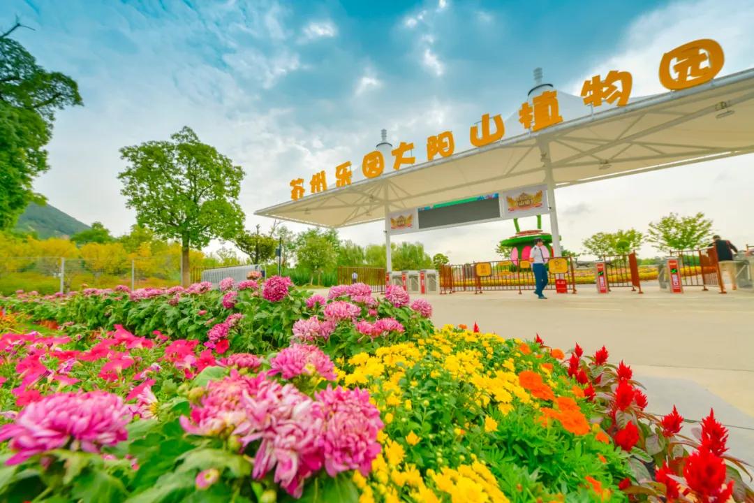 藏不住了！国庆苏州这片花海美哭了！大人小孩玩到不想走