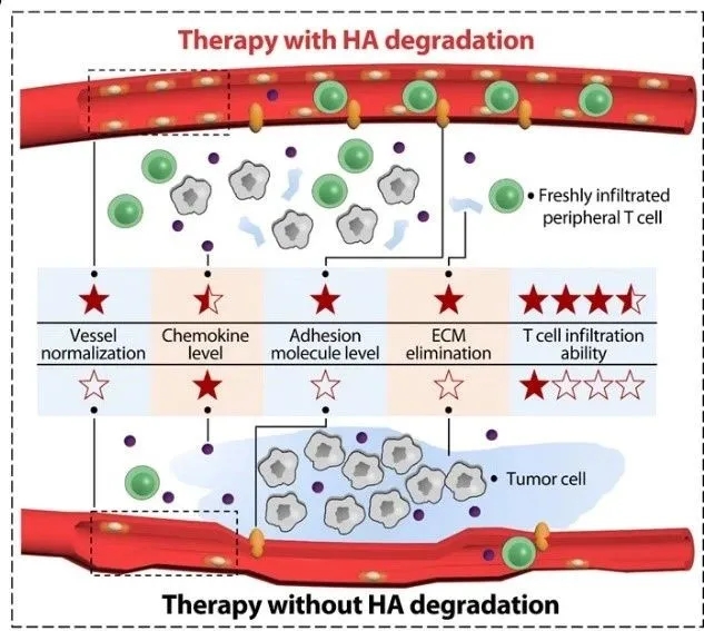陈学思中科院,陈学思首席科学家