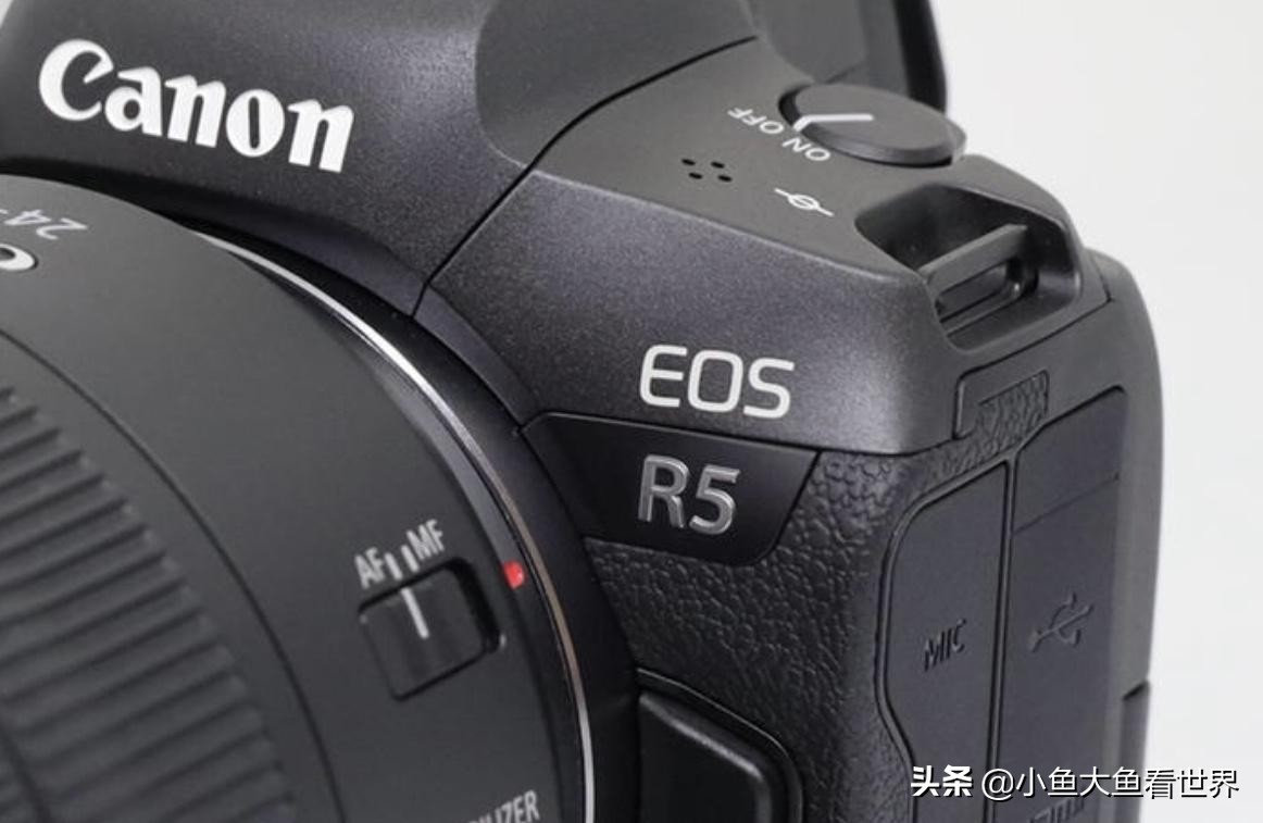 佳能尼康索尼600mm镜头对比 (相机入门级的索尼尼康佳能哪个好)