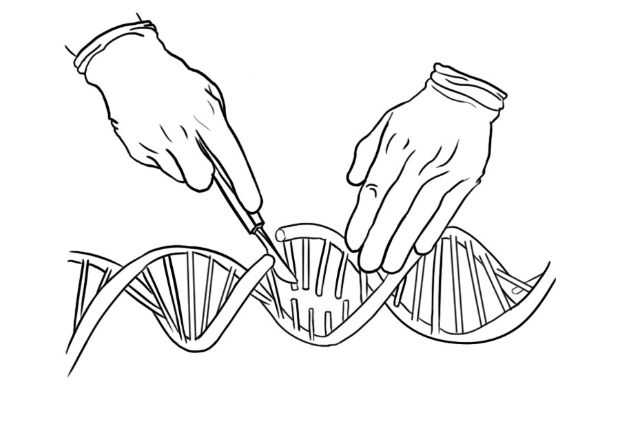 如果基因被破解会有什么后果,人类基因被破解的危害