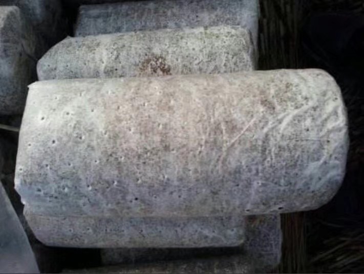 【原创】黑木耳代料栽培技术