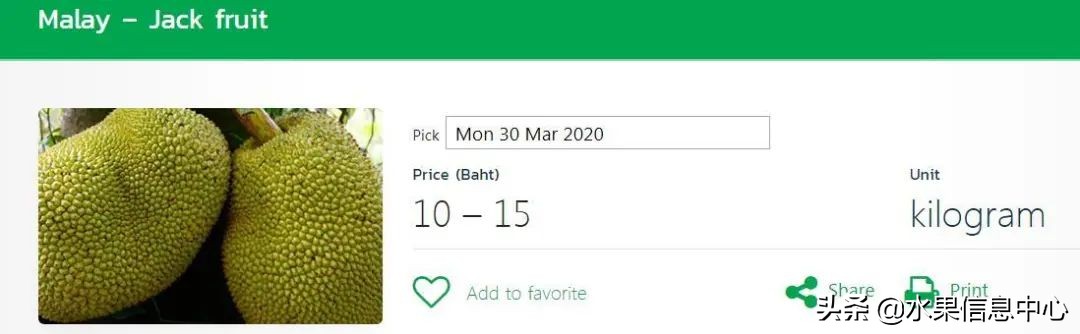 西双版纳水果市场榴莲 (上海亚洲最大的水果批发市场榴莲)