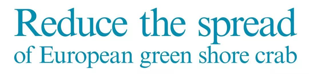 青蟹大批入侵澳洲,红蟹泛滥澳大利亚人怎么处理