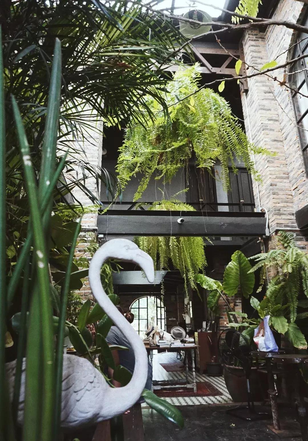 极光之旅民宿推荐,可以看极光的民宿