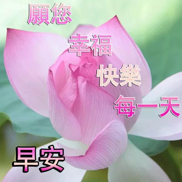 六月最近的早上好祝福语动态图片,新的五月份早上好问候图片