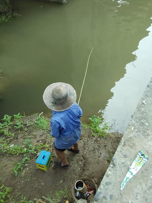 野钓蓝鲫和蓝鲫X5有什么区别,传统钓鱼钓鲫鱼技巧和方法