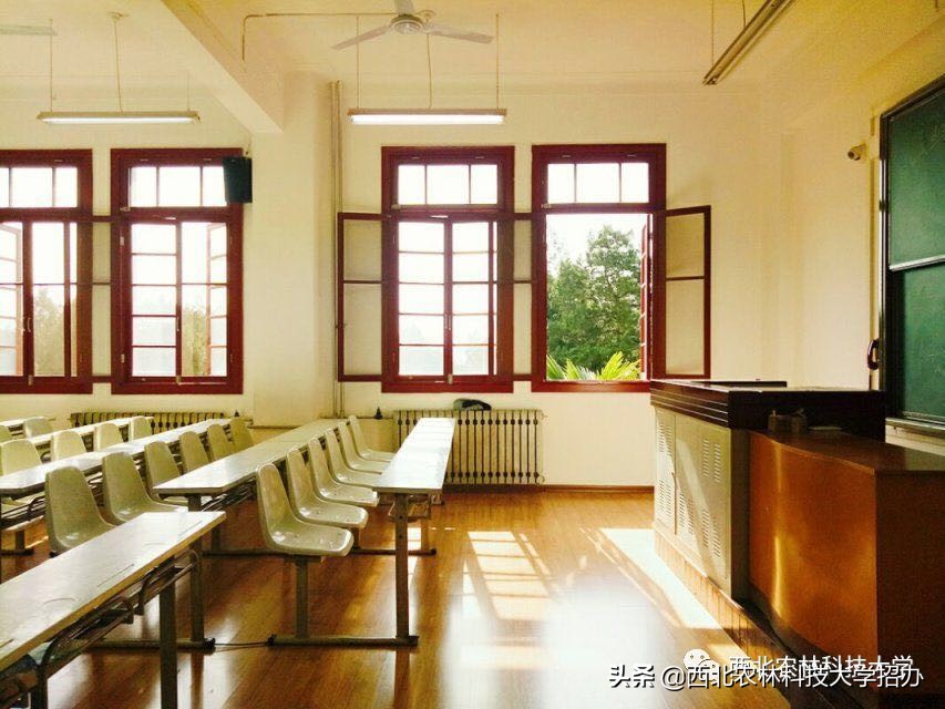 一所大学就是一座城！让你爱上西北农林科技大学的5大理由