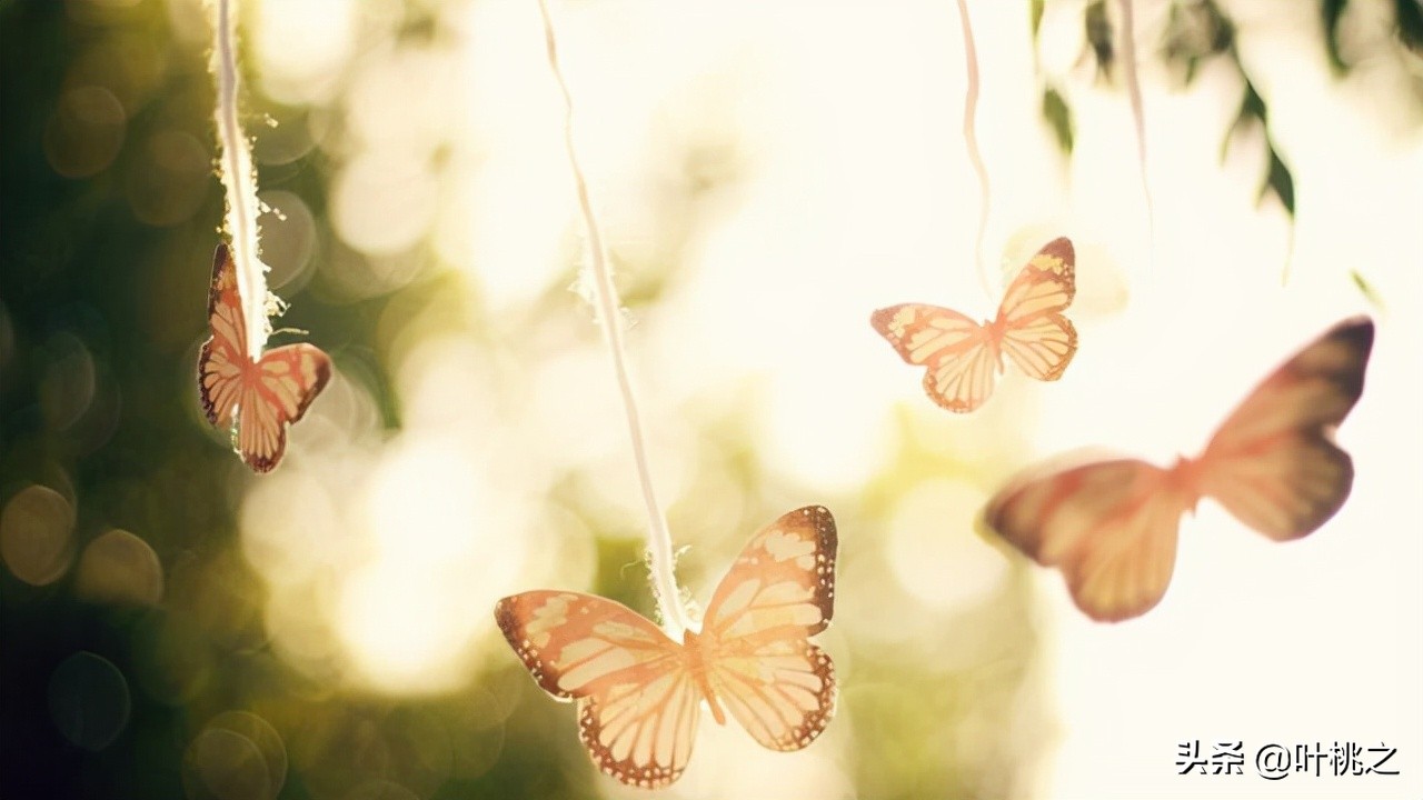 50岁人生才刚开始,真正的人生从50岁开始