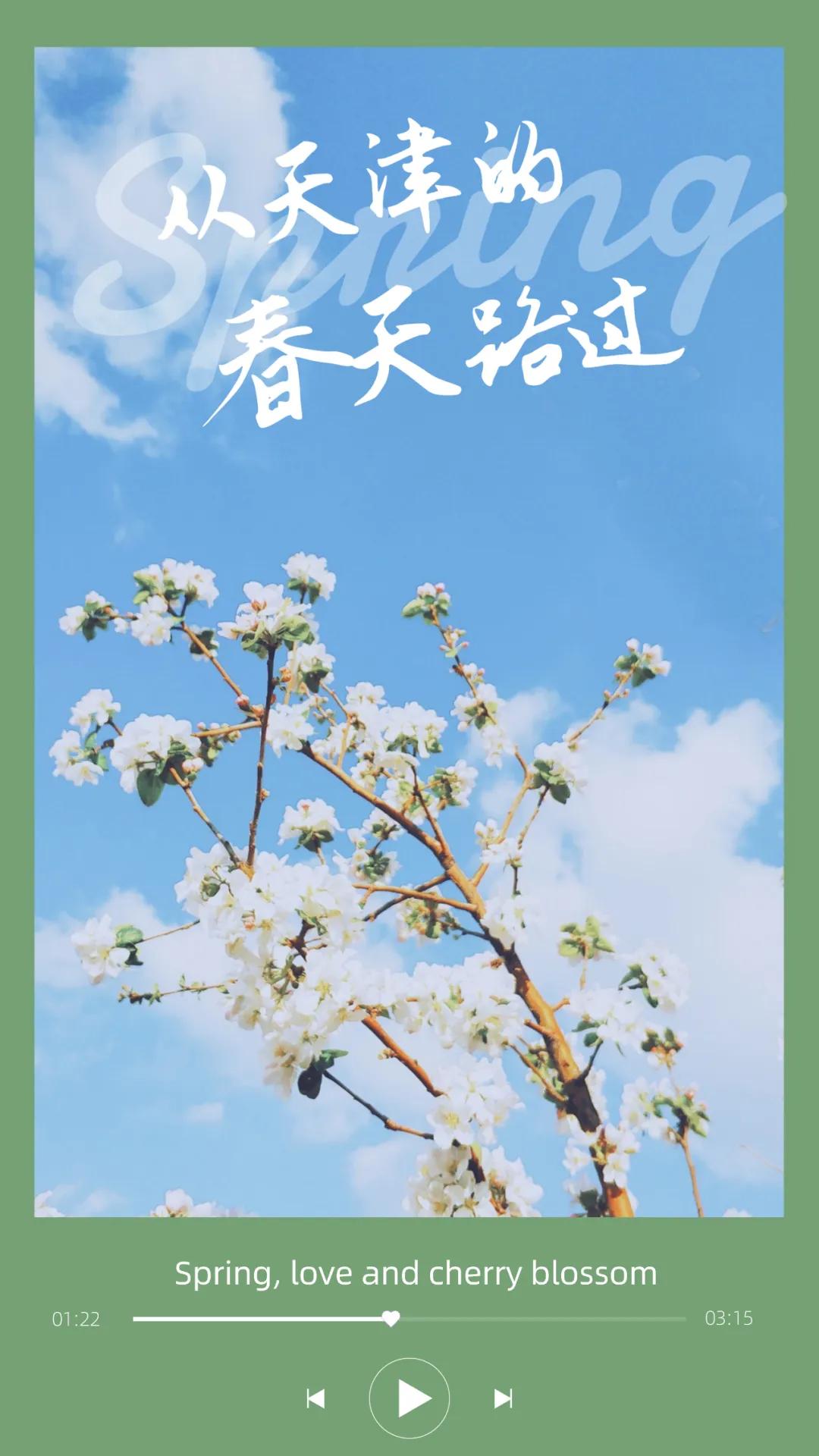 一个不出郑州的踏青好去处,天津春游公园推荐