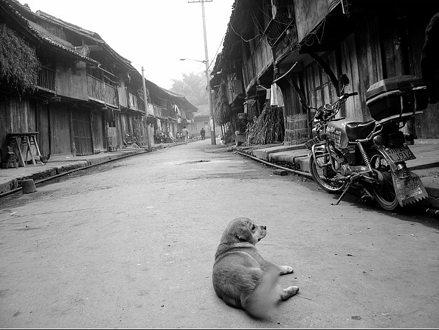 成都附近的古镇最值得去的是哪个,2022春节成都周边有年味的古镇