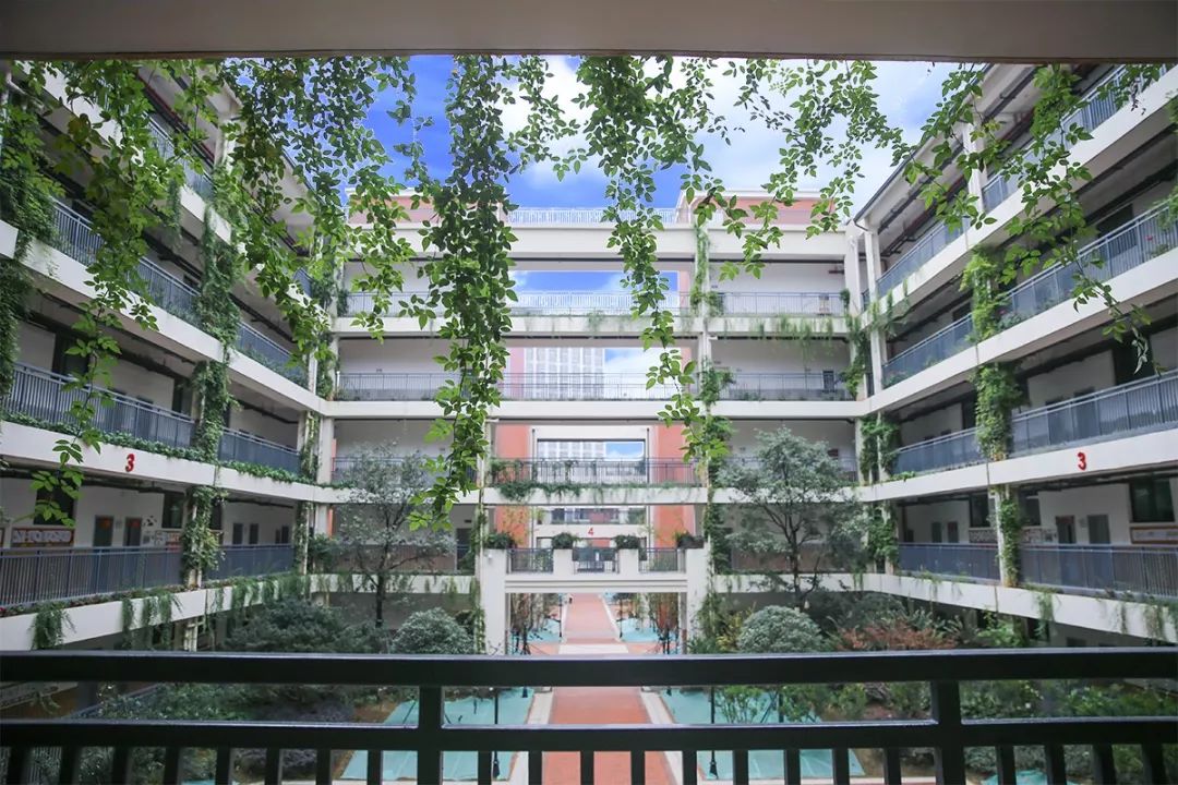 武汉最难进的十所大学,武汉最难进的五个初中