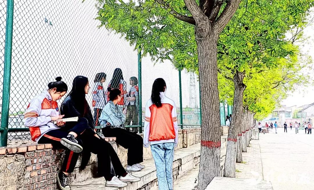 焦作市第四中学百科介绍,焦作市第四中学高三校区