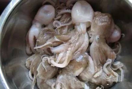 海鲜大全,最全海鲜冷知识