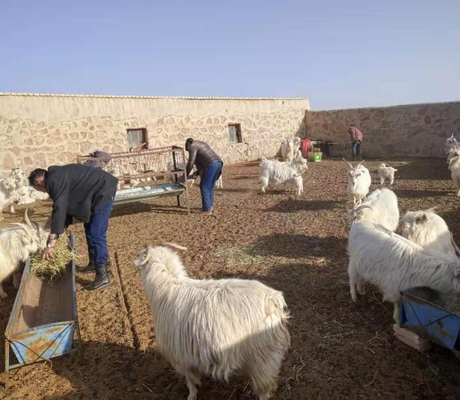 肃北县马鬃山疫情防控电话,肃北防疫情况